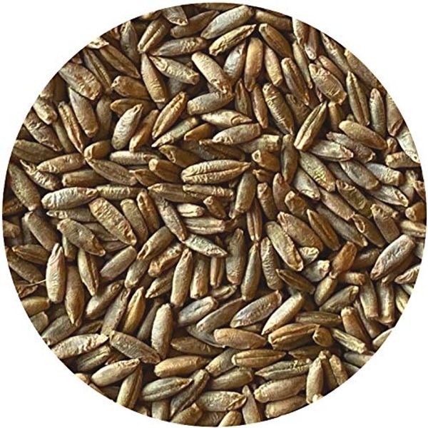 Whole Rye Berries, 8 Pounds