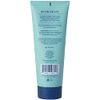 Hand in Hand Sugar Scrub, Gentle Exfoliation For All Skin Types, 9 Ounce, Sweet Mint & Eucalyptus, Sea Salt Scent, Single