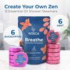 RO Shower Steamers Aromatherapy - Eucalyptus & Mint Shower Bath Bombs w/Essential Oils for Self Care and Relaxation | Birthday Gifts for Women, Men Who Have Everything