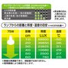 Gex PT2136 8106010 Sunlight Tight Beam 75W
