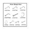2 Pack Nose Piercing Tool, Disposable Safety Portable Nose Piercing Tools, Self Nose Piercing Kit with 10 Pcs Free Nose Rings Piercing Jewelry (Silver)