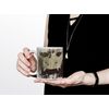 Si Vis Pacem Para Bellum Eau Zone Mug Art