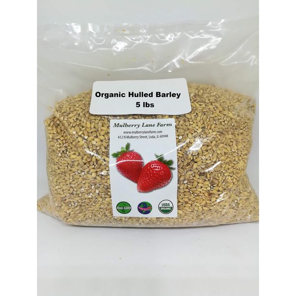 Hulled Barley 5 Pounds (dehulled) USDA Certified Organic Non-GMO Bulk, Product of USA, Mulberry Lane Farms