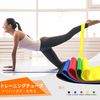 TheFitLife Training Tube Muscle Training Tube Fitness Tube (5 Colors)
