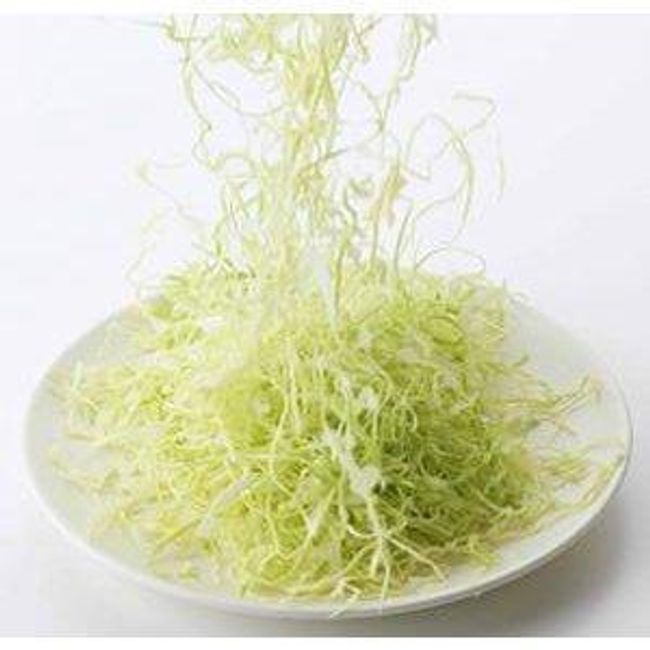 Cabbage Slicer Shredder Tonkatsu Made in Japan