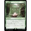 MAGIC: The Gathering PIP JP 0199 Guardian Plan (Japanese Version) Fallout