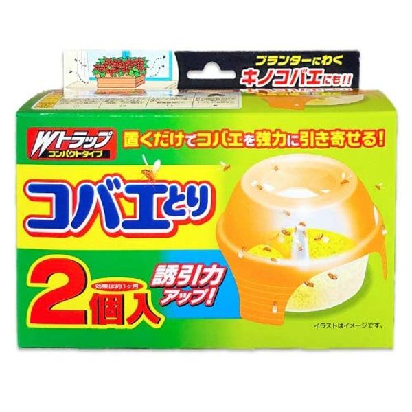 w trap fly catcher 2 pack