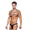 Rainbow Harness - M/L - Vibrant and Stylish Strap-On Harness