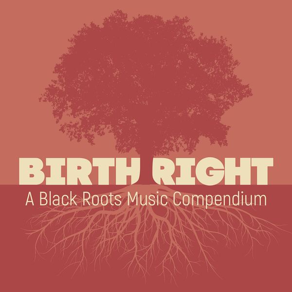 Birthright: A Black Roots Music Compendium[2 CD]