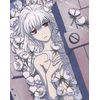 DARKER THAN BLACK -流星の双子- 4 [Blu-ray]