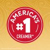 Nestle Coffee mate Hazelnut Powder Coffee Creamer