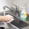 Medicated Foam Hand Soap, 8.5 fl oz (250 ml)
