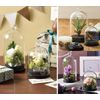 PASEO Interior Goods Convenient Cork Dome, Black, 48-04S-BK, Small