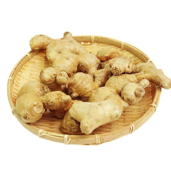 Pikaichi Vegetable Kun Ginger, 3.5 oz (100 g), Ginger Made in Nagasaki Prefecture, Cultivated without Pesticides or Chemical Fertilizers