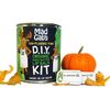 Organic Shea Butter Lip Balm Do It Yourself Kit