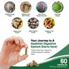 Optimize Digestive Wellness: Psyllium Husk Plus for Gut Health - 180 Capsules
