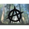 Anarchy - Vinyl Decal Outdoor Weatherproof - Select Size