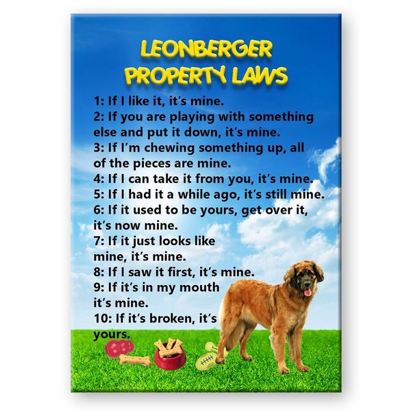 Leonberger Property Laws Fridge Magnet