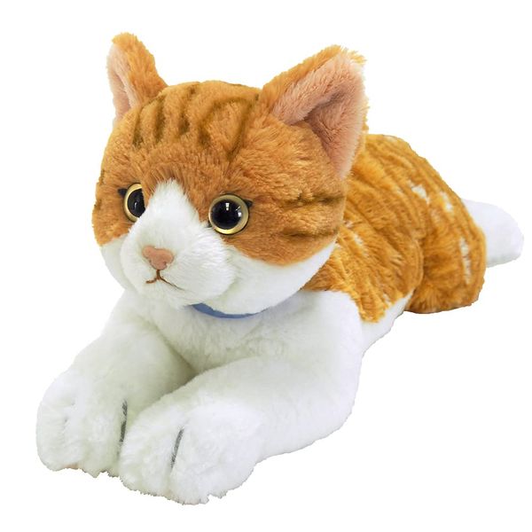 Sunlemon Knee Cat M Brown & White