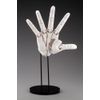 Kotobukiya ARTIST SUPPORT ITEM 1/1 Scale Hand Model R -White