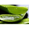 Aloe Vera Hand Cream Pack 2x1