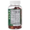 Multi Vitamin with Minerals Gummies, Fruit, 120 Gummies