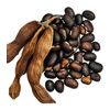 macuna pruriens extract - L-DOPA EXTRACT 99% - dopamine powder - 3 Bottles