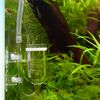 USCAPE CO2 Diffusor Reaktor Blasenzähler Spirale - Aquarium CO2-Versorgung