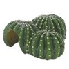 Cactus Home 1 Terrarium Cave