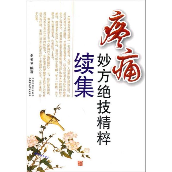 疼痛妙方绝技精粹续集 刘有缘【正版保证】