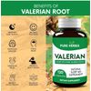 Valerian Root Supplement for Sleep, Stress Relief, and Calming Effect