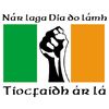 CafePress United Ireland Rectangle Bumper Sticker Car Decal