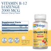 Solaray Vitamin B-12 2000 mcg | 90 Lozenges