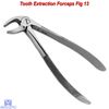 Surgical Lower Premolar Extraction Forceps Fig-13 Dental Tooth Extracting Pliers