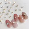 Nail Stone Set of 50 Nail Parts Stones 3D Small Rhinestones Clear Glitter Nail Art Parts Jewelry Deco Parts Crafts Handmade