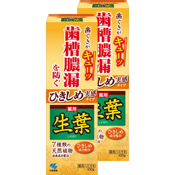 [Bulk Purchase] Hikishime Raw Leaves (Shouyo), Prevents Pyorrhea, Medicated Toothpaste, Japanese Chinese Herb Flavor, 3.5 oz (100 g) x 2 (Glasses Cleaner Included) (Quasi-Drug)