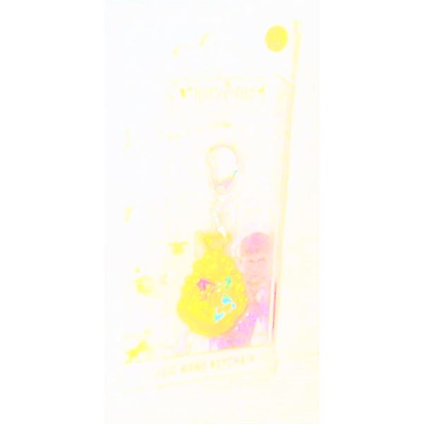 HARRY P0TTER H0GWARTS.EMBLEM key chain diecast model