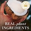 Herbal Essences Coconut Milk Conditioner, 13.5 fl oz
