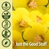 Natures Answer - Mullein Leaf - 30ml