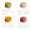 Glamourdise Assorted Macarons