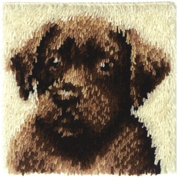 Wonderart Latch-Hook Kit, Chocolate Dog, 12" X 12"