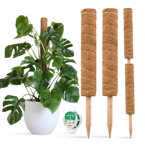 JOYSEUS 30 Inch Moss Pole for Climbing Plants - 2 Pack 15 Inch Coir Totem Pole Plant Support with 65 Feet Garden Twist Tie for Monstera and Potted Plants to Grow Upwards…