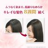 L'Oréal Paris Excellence R Liquid Type Dye for Gray Hair, 6NB Slightly Bright Natural Chestnut Color Main Unit [Quasi-Drug]
