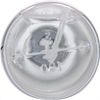 Butterfly (Butterfly) kyuauxo-ta-) 20 Pack of)