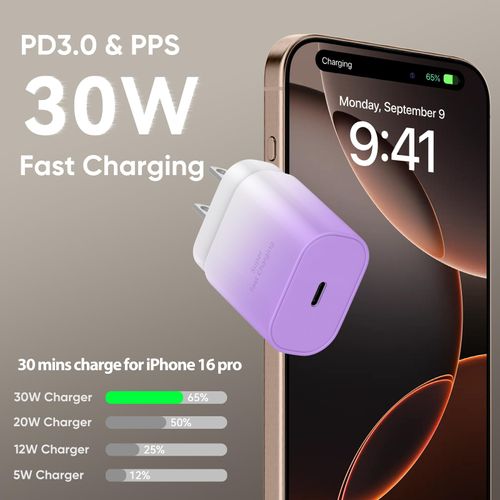 Phone 16 Pro Max Charger Fast Charging, 30W i Phone 16 USB C Charger 10FT Extra Long Cord with Block for i Phone 16 Pro/16 Pro Max/16 Plus/15 Pro/15 Pro Max/15 Plus/15, pad,Galaxy S24, GradientPurple