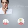 High Toughness Professional Toothpicks Sticks Dental Floss Picks 20 Picks Threader Flosser with 2 Storage Cases, flossing for Family,Hotel,Travel (6pink+6green)