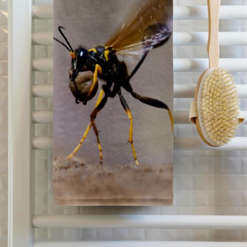 3dRose 15x22 Hand Towel - Black-and-Yellow Mud Dauber Insect with mud Balls - US44 LDI0989 - Larry Ditto Insects
