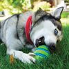 KONG Squeezz Goomz Football Lg