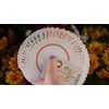MJM Magic Midsummer (Standard Edition) Playing Cards
