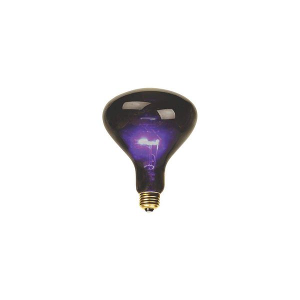 DEEJAY LED BL100 Mushroom Shaped Black Light